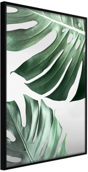 ARTGEIST Juliste kehyksellä - Leaves Like Swiss Cheese Musta 30x45